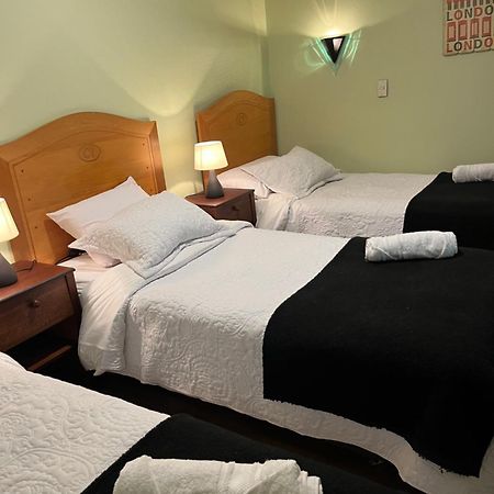 Hotel Nova Vida 康塞普西翁 外观 照片
